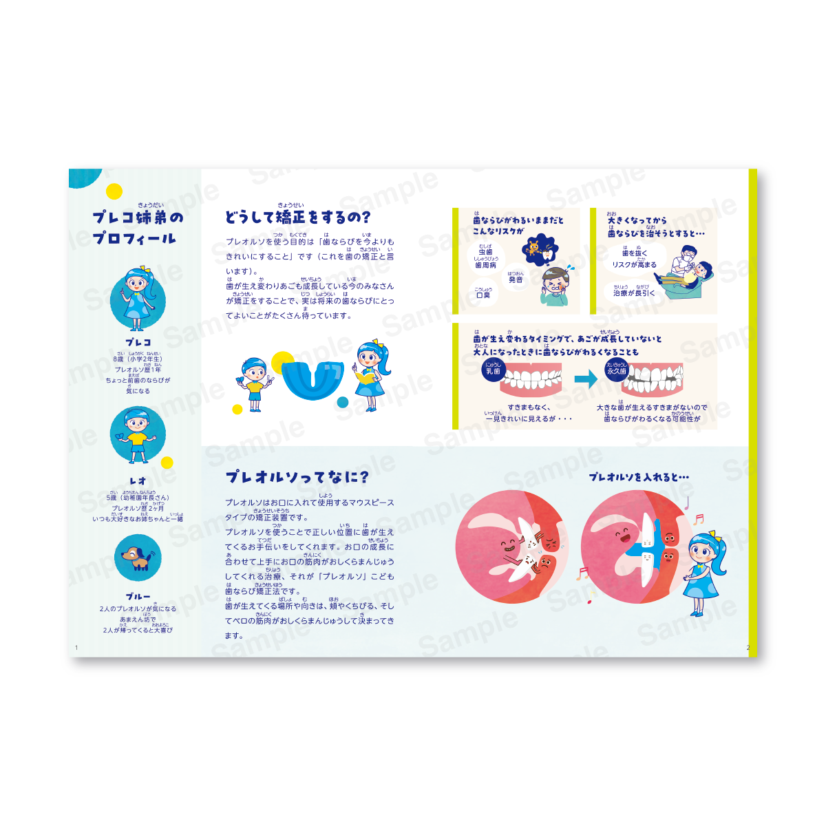 プレオルソノートブック（20セット）